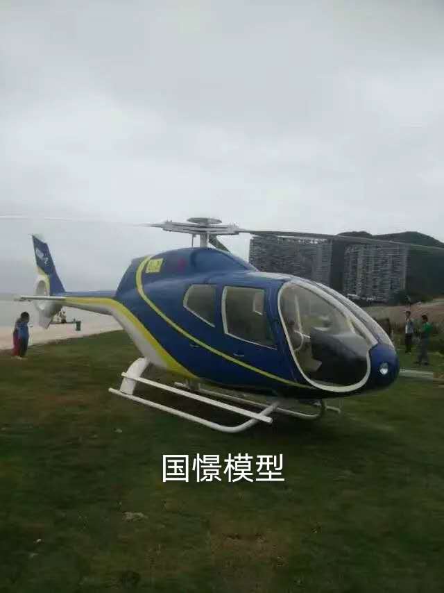 松潘县飞机模型